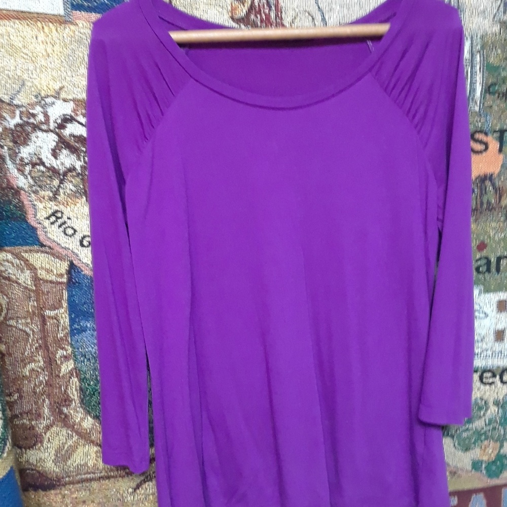 The Limited Purple Blouse wore a couple times